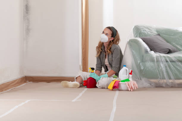Reliable Mold Remediation contractor in Northport, MI by 24 Hour Mold Removal